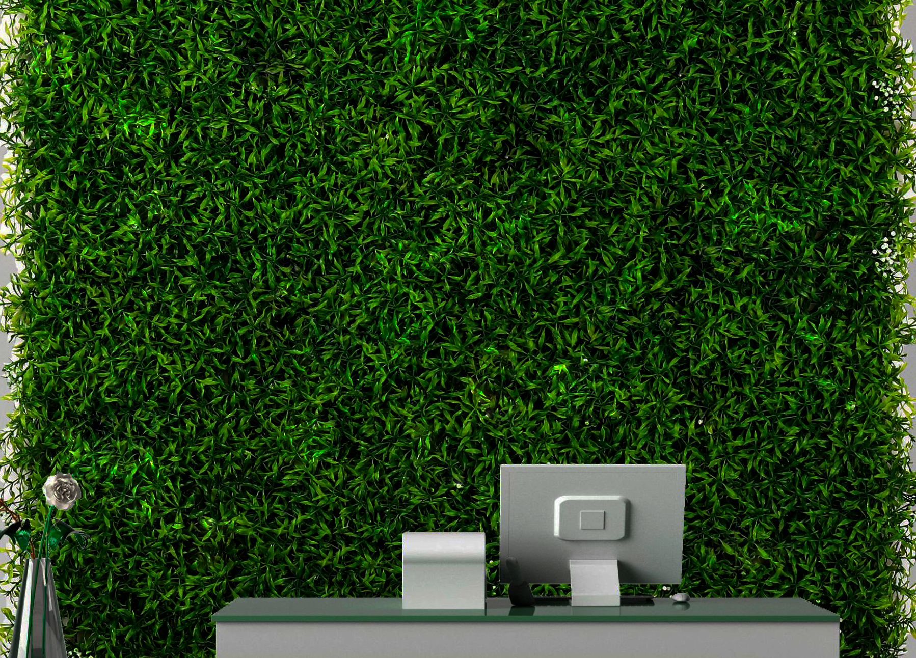 fundo folhas